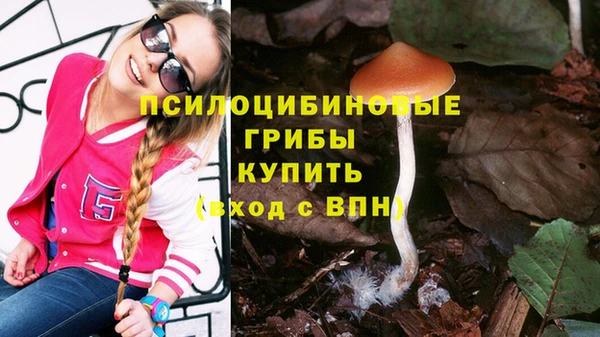 ешки Алексеевка