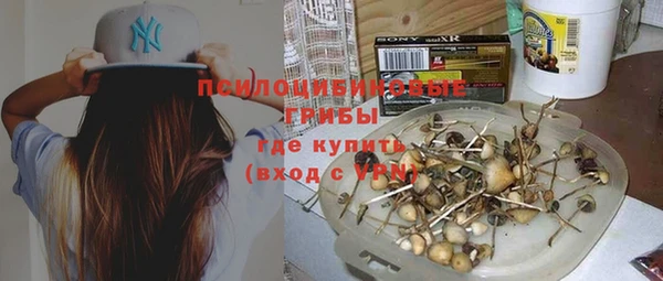 2c-b Абинск