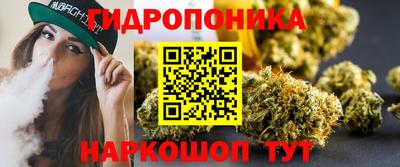 винт Партизанск