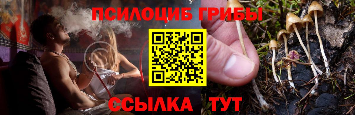 Татарск  Псилоцибиновые грибы Psilocybine cubensis  Вход с VPN 